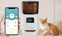 The WOPET pet feeder standing next to a cat and a hand holding a phone with the compatible app