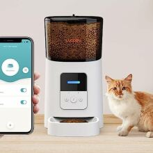 The WOPET pet feeder standing next to a cat and a hand holding a phone with the compatible app