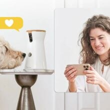 Woman looking at a phone next to dog looking at a furbo camera