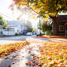Fall foliage on a Burlington, Vermont street. 