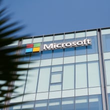 Microsoft corporation brand logo on high rise glass building exterior through exotic green palm leaves summertime photo