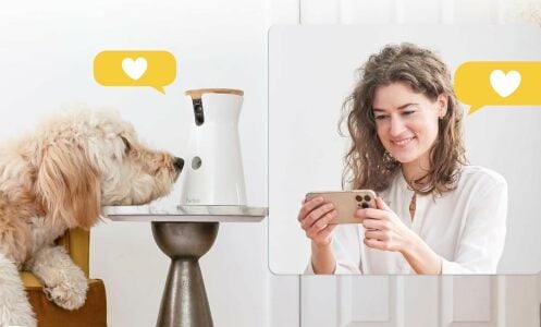 Woman looking at a phone next to dog looking at a furbo camera