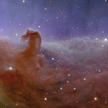 The Horsehead Nebula, an expansive, star-forming cloud of dust and gas some 1,375 light-years away from Earth.